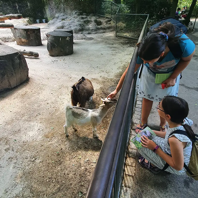 kids-and-teens-holiday-language-courses-language-courses-during-the-holidays